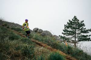 BIB: 
                            <button type="button" onclick="openModal(25993331)" class="btn btn-primary btn-sm float-right btn-popup" data-toggle="modal" data-target=".modal-high-quality">
                        <i class="fas fa-shopping-cart"></i> Add to Cart
                    </button>
                                            <button type="button" onclick="isThisMe(25993331, true)" class="btn btn-success btn-sm float-right btn-popup btn-isme hidden" data-toggle="tooltip" data-placement="bottom" title="นี่คือรูปของคุณใช่ไหม คลิกที่นี่เพื่อเอาเข้าอัลบั้ม">
                        <i class="fas fa-plus"></i> Add to album
                    </button>
                    <button type="button" onclick="isThisMe(25993331, false)" class="btn btn-warning btn-sm float-right btn-popup btn-isnotme hidden">
                        <i class="fas fa-ban"></i> Remove from album
                    </button>